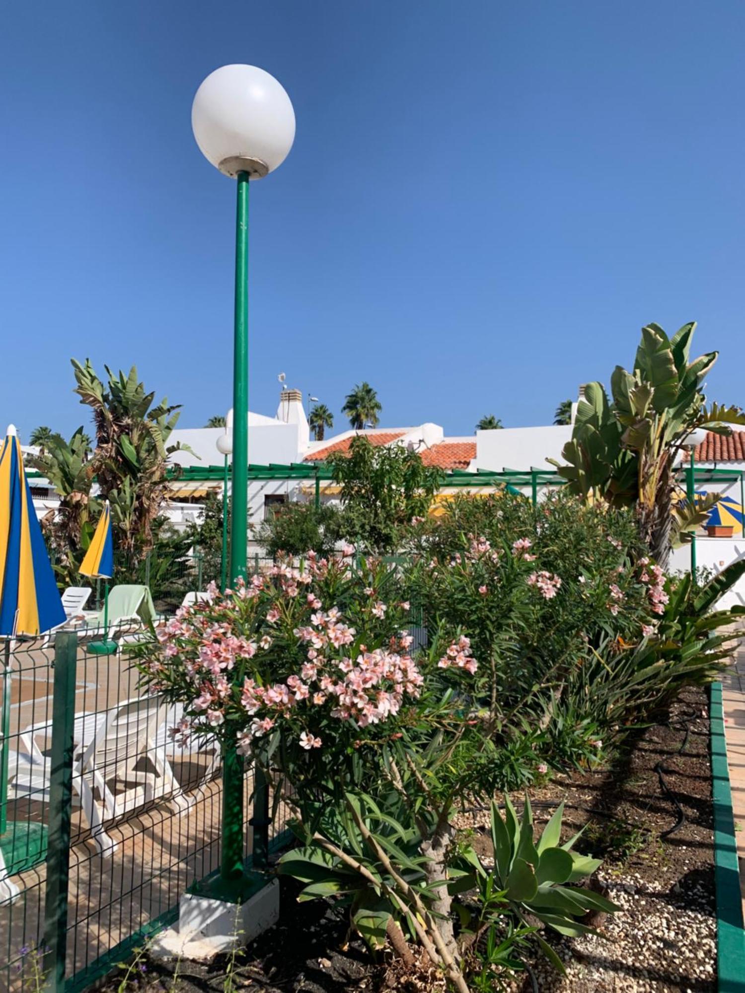 Villa Felicidad Playa del Inglés Exterior foto