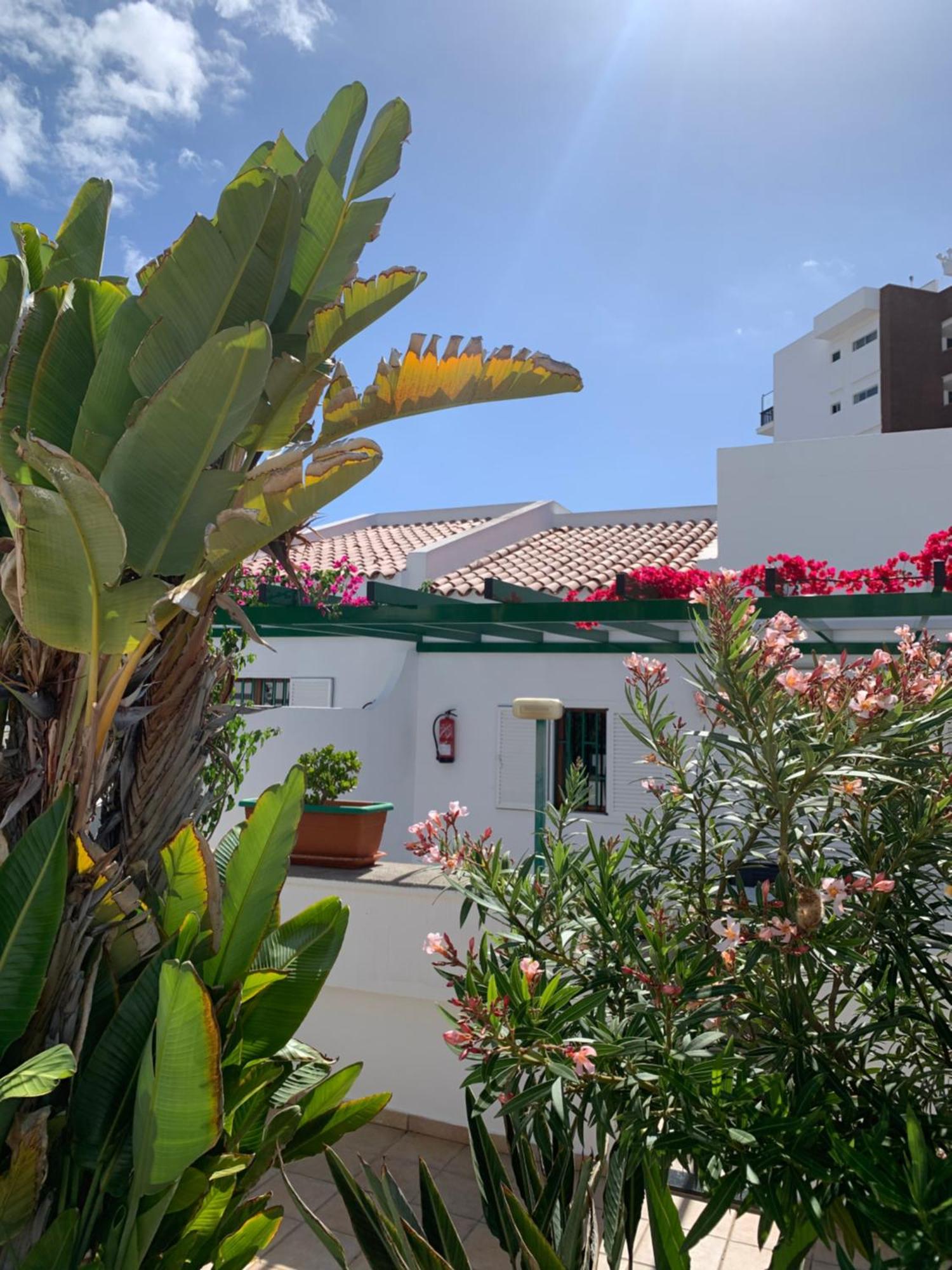 Villa Felicidad Playa del Inglés Exterior foto